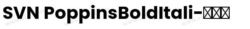 SVN PoppinsBoldItali字体转换
